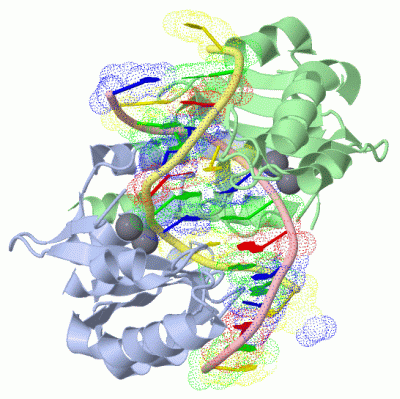 Image Asym./Biol. Unit - manually