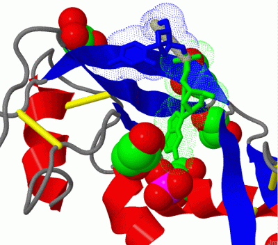 Image Biol.Unit 1 - manually