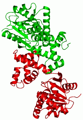 Image Asym./Biol. Unit - manually