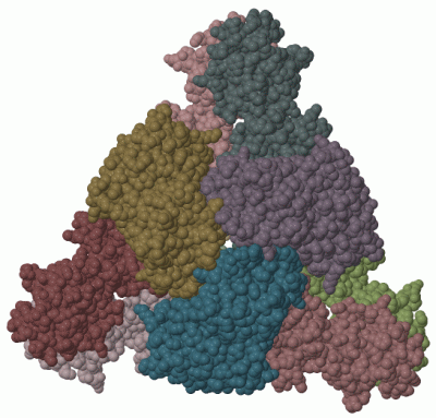 Image Biol.Unit 1 - manually