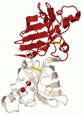 Image Biol.Unit 1 - manually