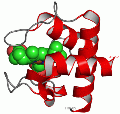 Image Asym./Biol. Unit - manually