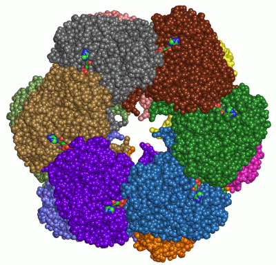 Image Asym./Biol. Unit - manually