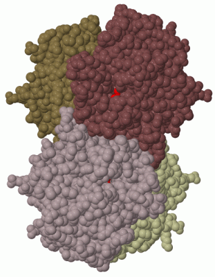 Image Biol.Unit 1 - manually