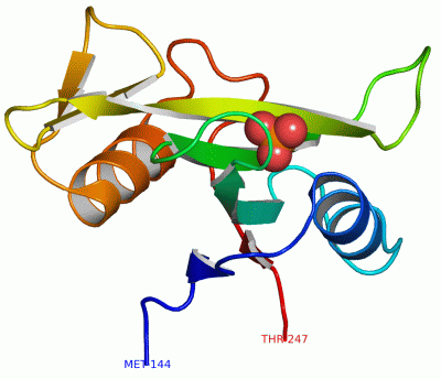 Image Asym./Biol. Unit - manually