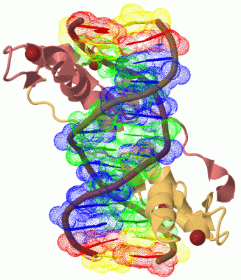 Image Biol.Unit 1 - manually