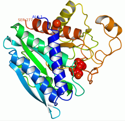 Image Asym./Biol. Unit - manually