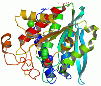 Image Asym./Biol. Unit - manually