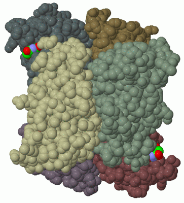 Image Biol.Unit 1 - manually