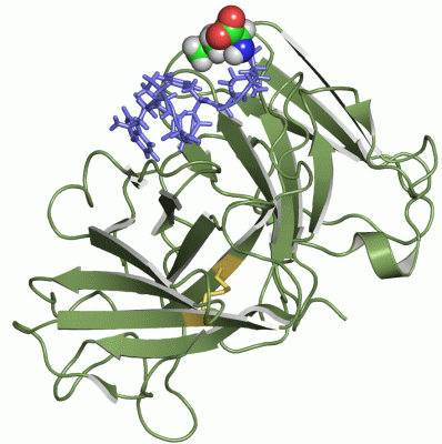 Image NMR Structure - manually