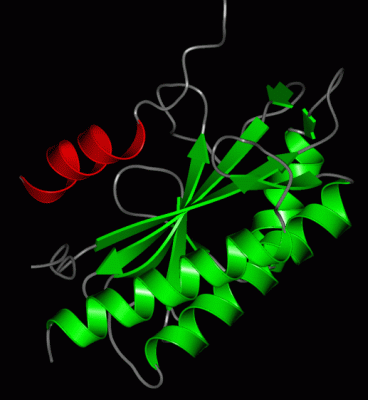 Image Asym./Biol. Unit - manually