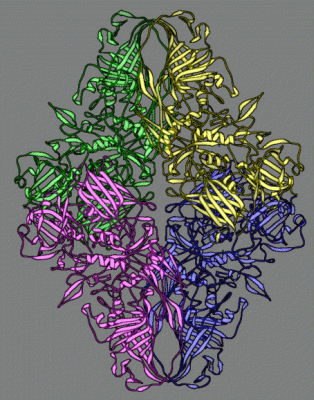 Image Asym./Biol. Unit - manually