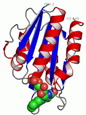 Image Asym./Biol. Unit - manually