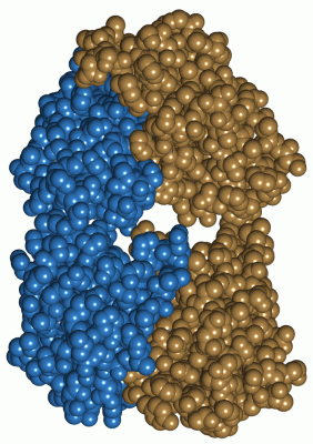 Image Asym./Biol. Unit - manually