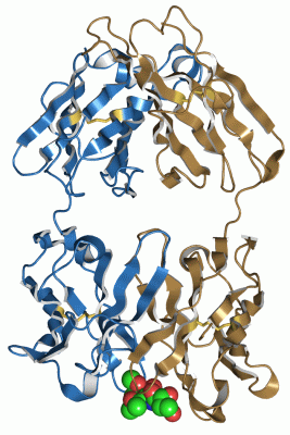 Image Asym./Biol. Unit - manually