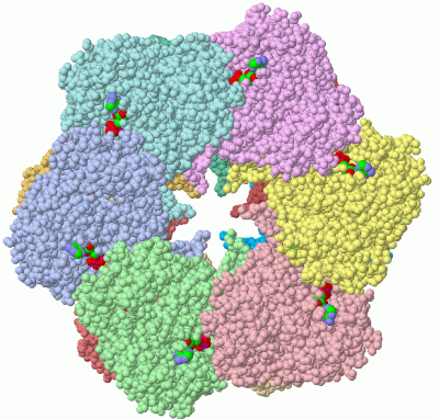 Image Asym./Biol. Unit - manually