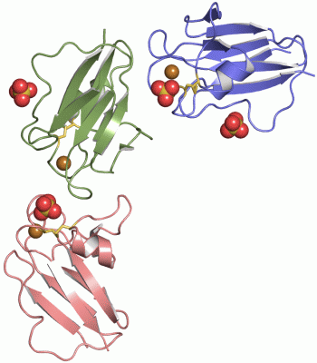 Image Asym.Unit - manually
