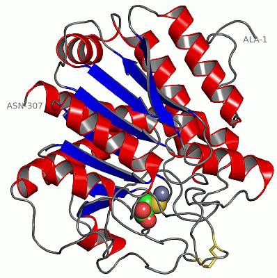 Image Asym./Biol. Unit - manually