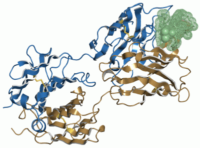 Image Asym./Biol. Unit - manually