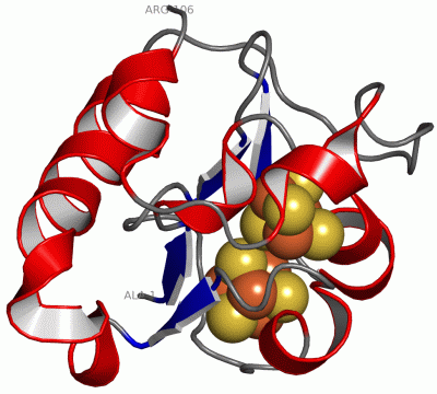Image Asym./Biol. Unit - manually