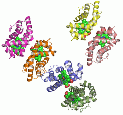 Image Asym.Unit - manually