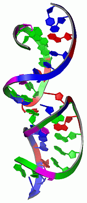 Image NMR Structure - manually