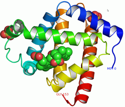 Image Asym./Biol. Unit - manually