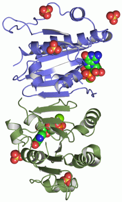 Image Asym./Biol. Unit - manually