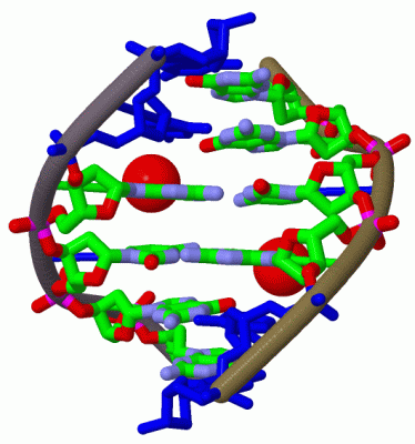 Image Biol.Unit 1 - manually