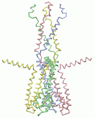 Image NMR Structure - manually