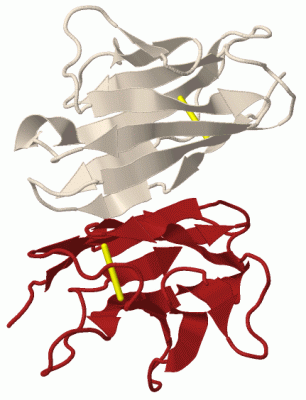 Image Biol.Unit 1 - manually