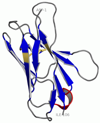 Image Asym.Unit - manually