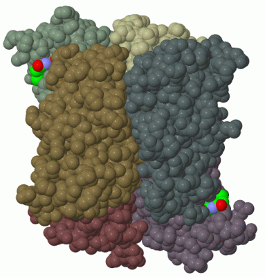 Image Biol.Unit 1 - manually