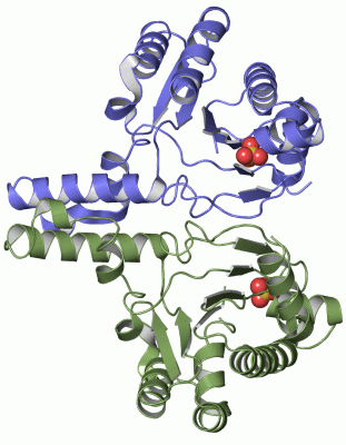 Image Asym./Biol. Unit - manually