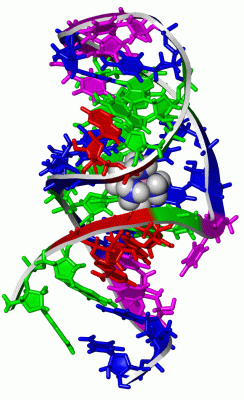 Image NMR Structure - manually