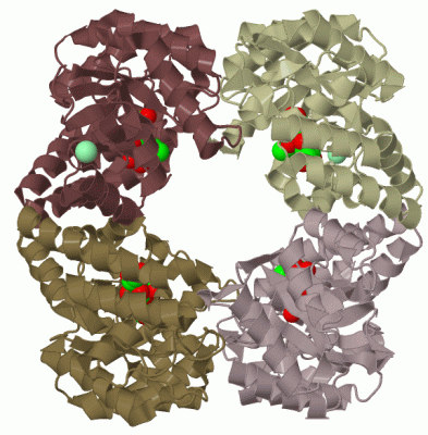 Image Biol.Unit 1 - manually