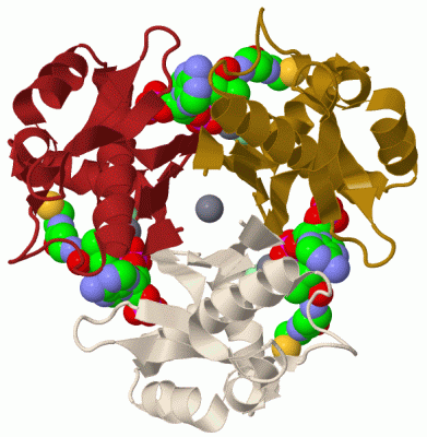 Image Biol.Unit 1 - manually