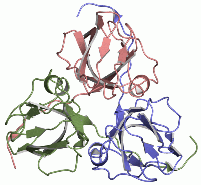 Image Asym./Biol. Unit - manually