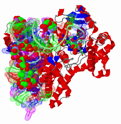 Image Asym./Biol. Unit - manually