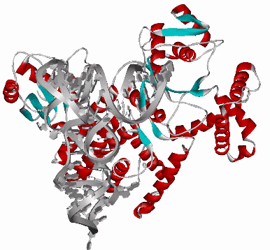 Image Asym./Biol. Unit - manually