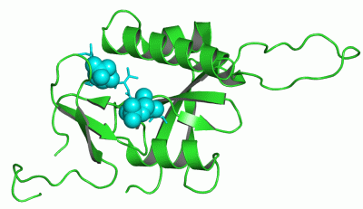 Image Asym./Biol. Unit - manually