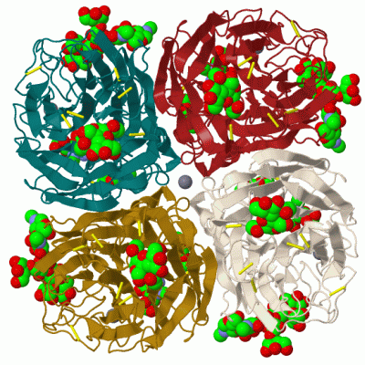 Image Biol.Unit 1 - manually