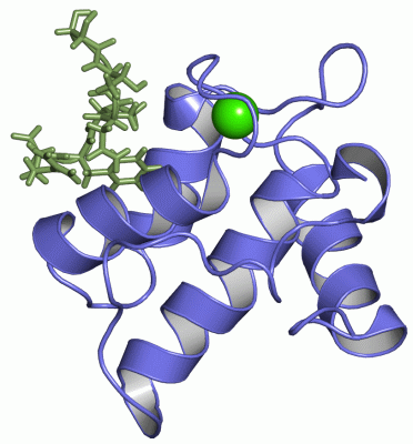 Image NMR Structure - manually