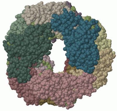 Image Biol.Unit 1 - manually