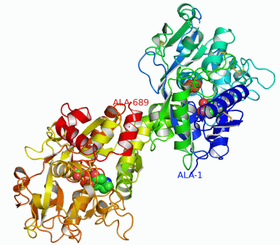 Image Asym./Biol. Unit - manually