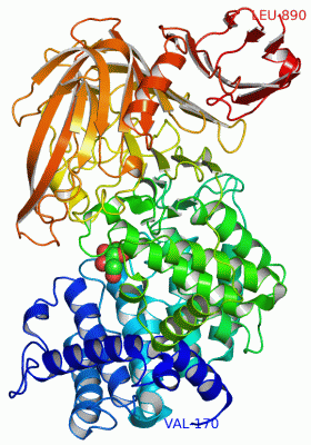 Image Asym./Biol. Unit - manually