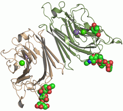 Image Asym./Biol. Unit - manually