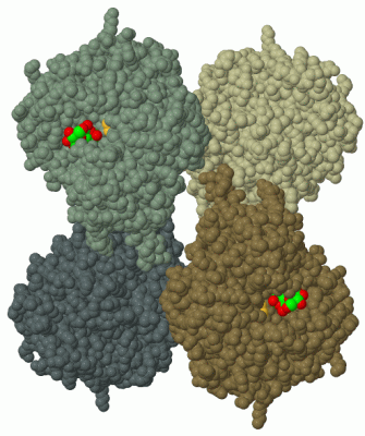 Image Biol.Unit 1 - manually