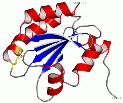 Image Asym./Biol. Unit - manually