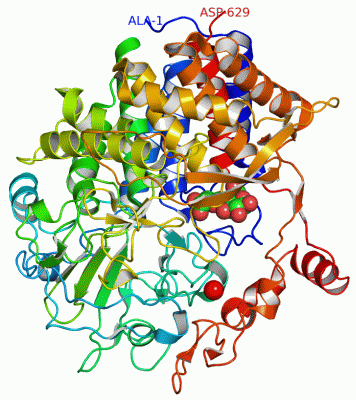 Image Asym./Biol. Unit - manually